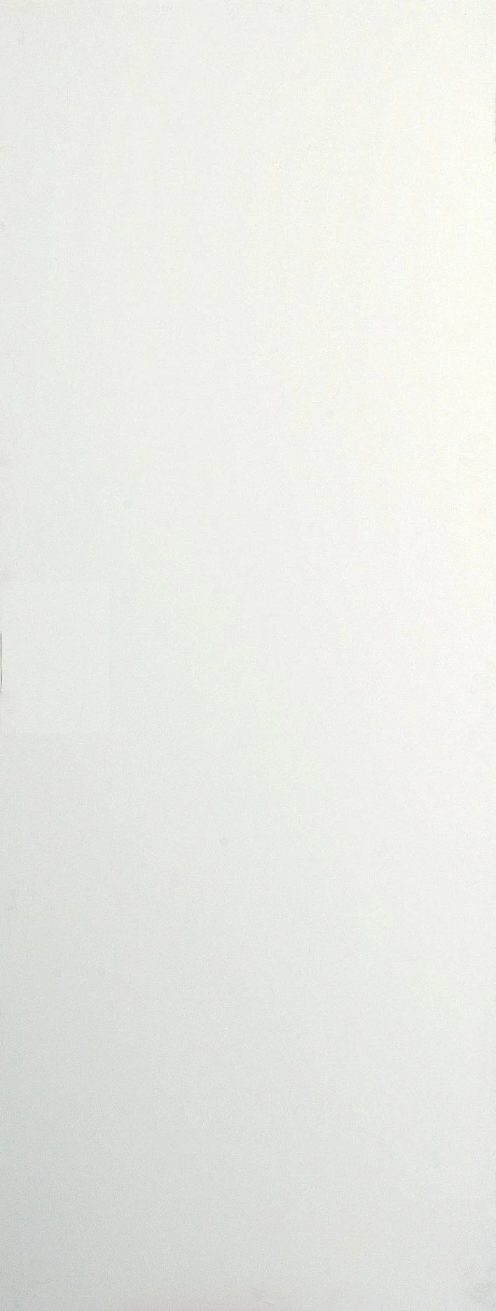 B&Q Flush White Internal Door, (H)1981mm (W)686mm (T)35mm 3 B&Q Flush White Internal Door, (H)1981mm (W)686mm (T)35mm