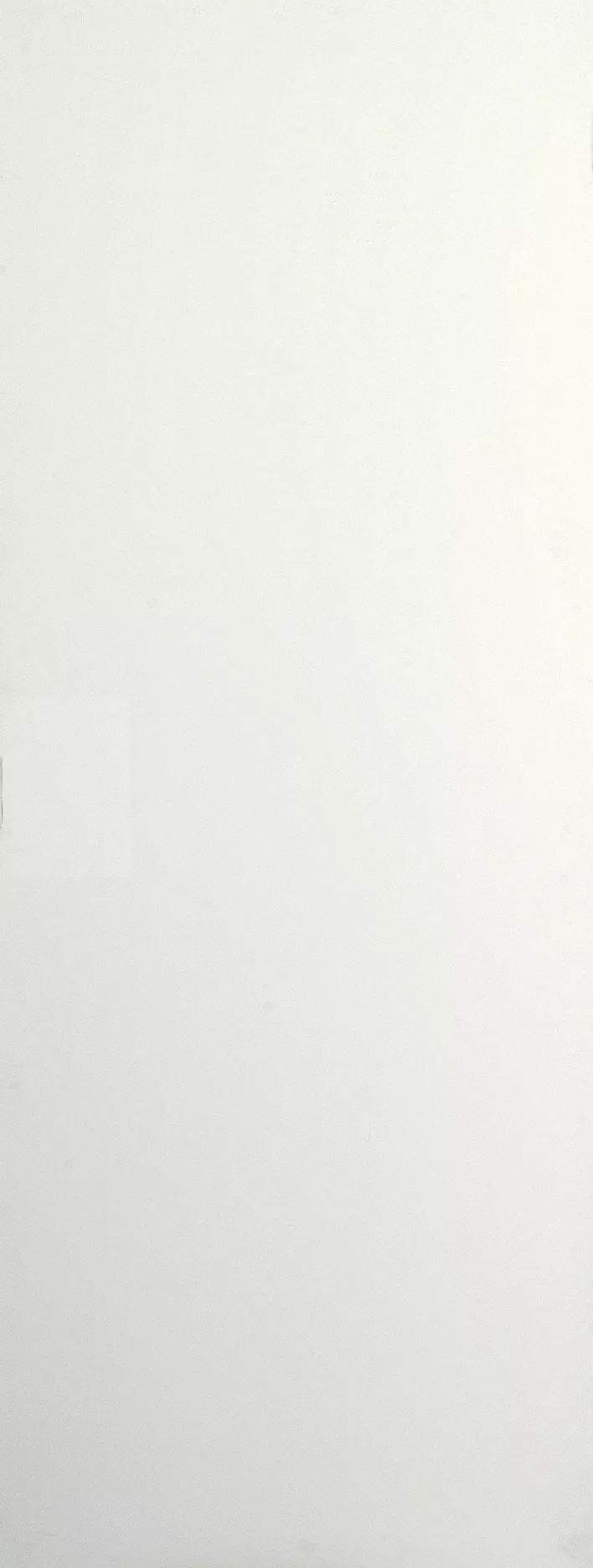 B&Q Flush White Internal Door, (H)1981mm (W)762mm (T)35mm 3 B&Q Flush White Internal Door, (H)1981mm (W)762mm (T)35mm