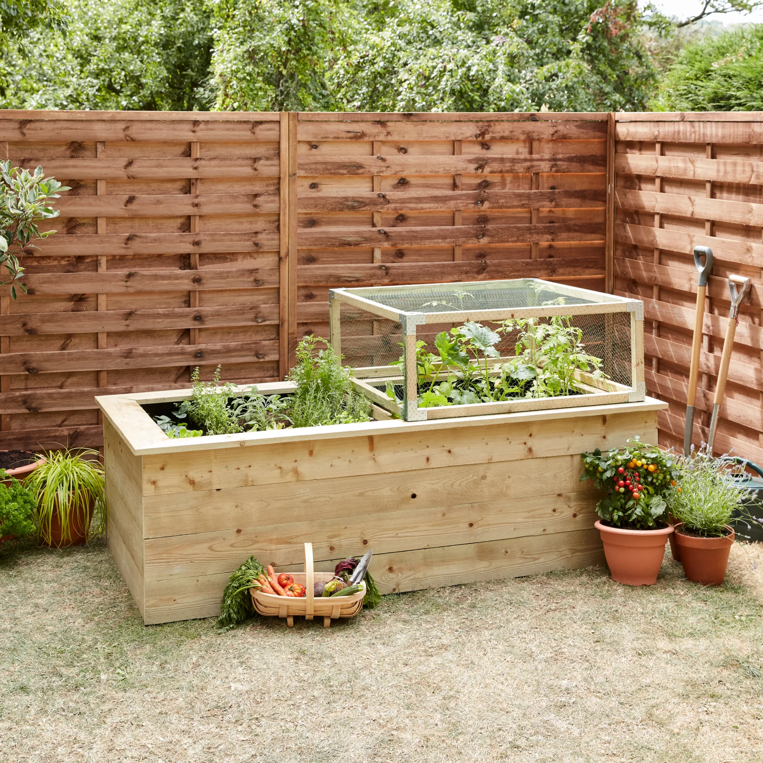 R4C Smooth Planed Round Edge Kiln Dried & Pressure Treated (with Tanalith E) Whitewood Stick Timber (L)2.4m (W)60mm (T)60mm 7 R4C Smooth Planed Round Edge Kiln Dried & Pressure Treated (with Tanalith E) Whitewood Stick Timber (L)2.4m (W)60mm (T)60mm - Image 5