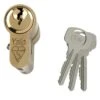 Yale Brass-plated Single Euro Cylinder Lock, (L)100mm (W)29mm -WoodDepot Shop yale brass plated single euro cylinder lock l 100mm w 29mm5010609174816 02bq